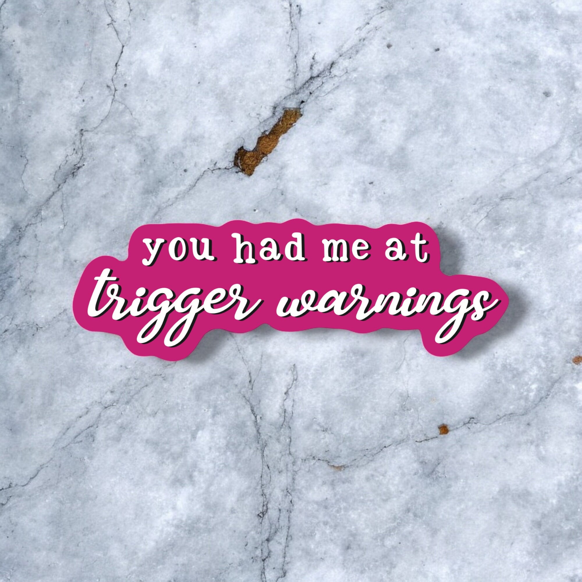 You Had Me at Trigger Warnings Sticker – Dark Romance BookTok Gift