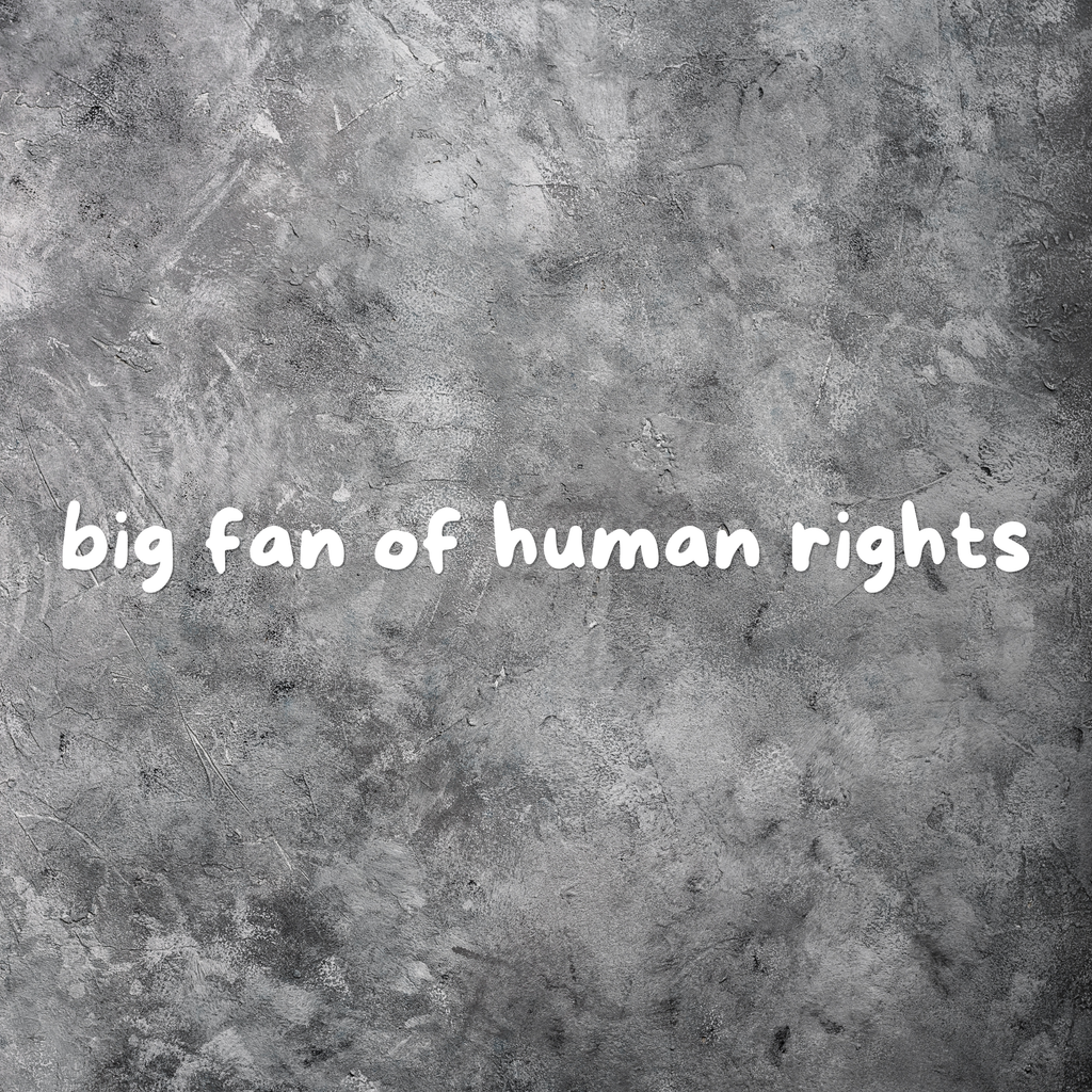 Big Fan of Human Rights Car Decal