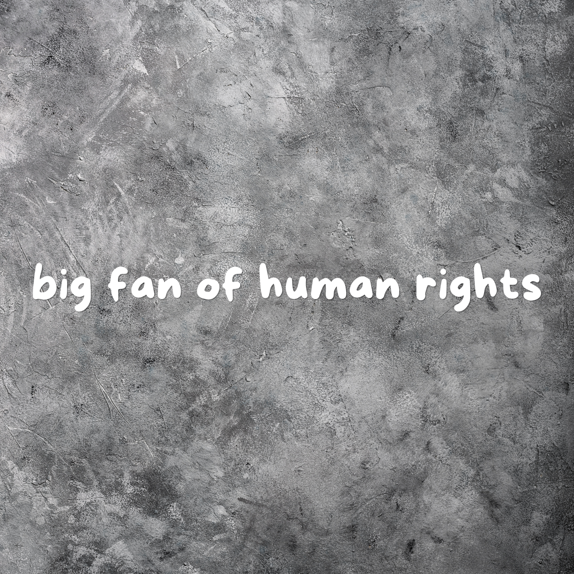 Big Fan of Human Rights Car Decal