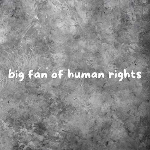 Big Fan of Human Rights Car Decal